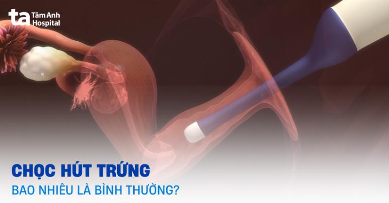 Cac yeu to chinh anh huong den suc khoe va chat luong cua trung phu nu
